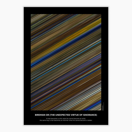 Birdman or (The Unexpected Virtue of Ignorance)